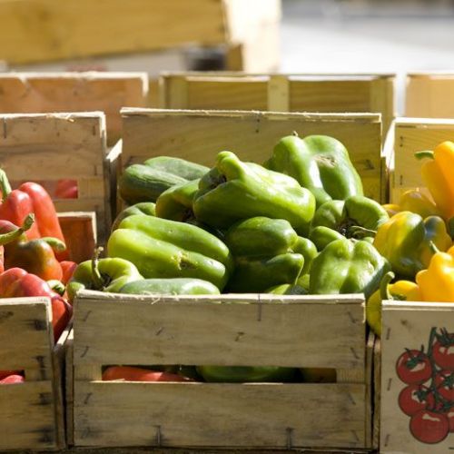 Marche et cuisine bio