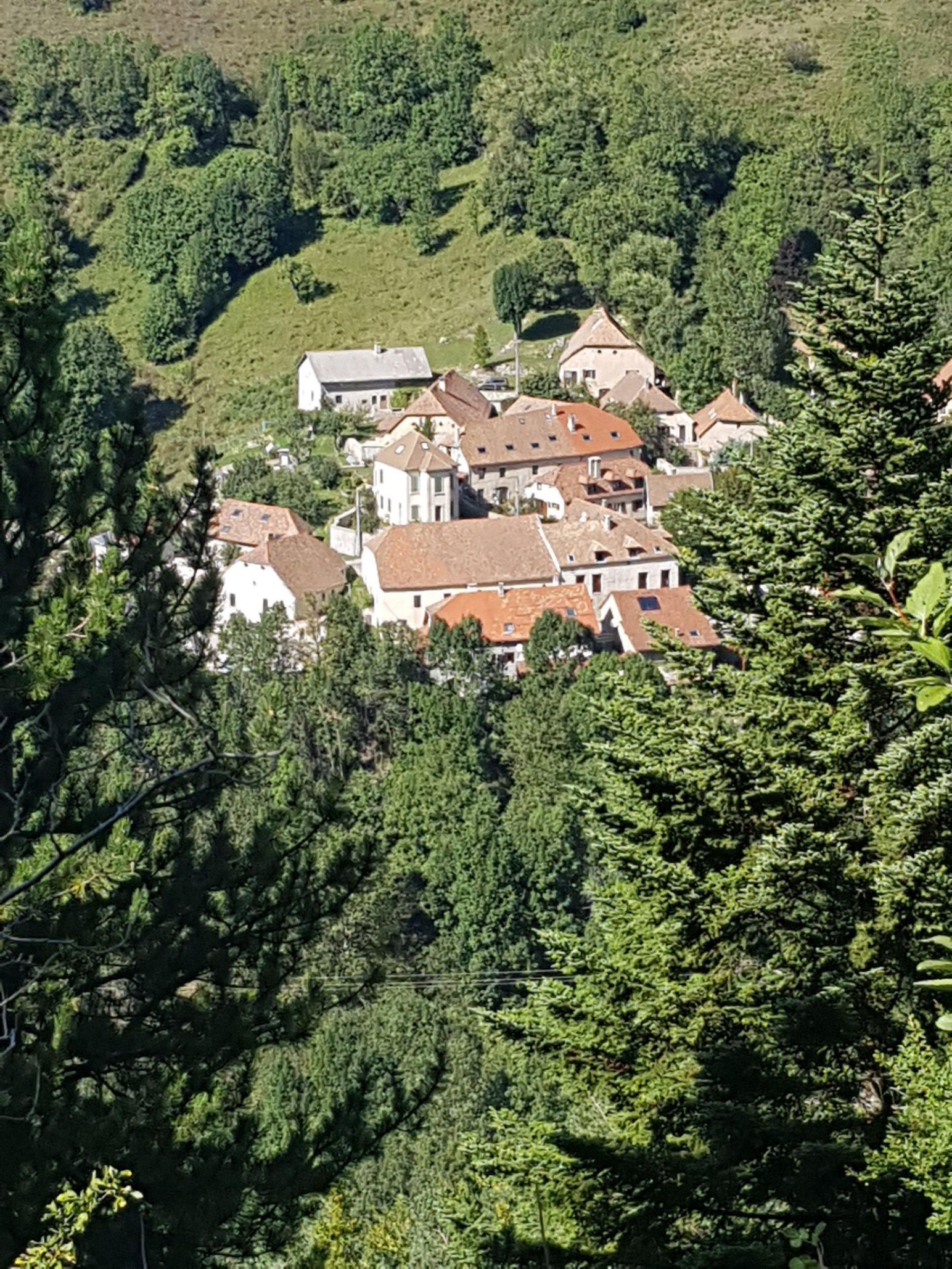 Grimone