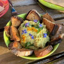 Humous aux pois chiches et à l'achard de citrons confits au gingembre, accompagné de pain grillé et aillés et de fleurs du jardin
