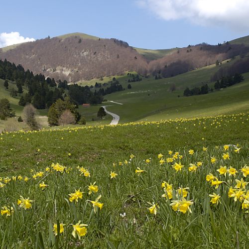 Vallon Combeau