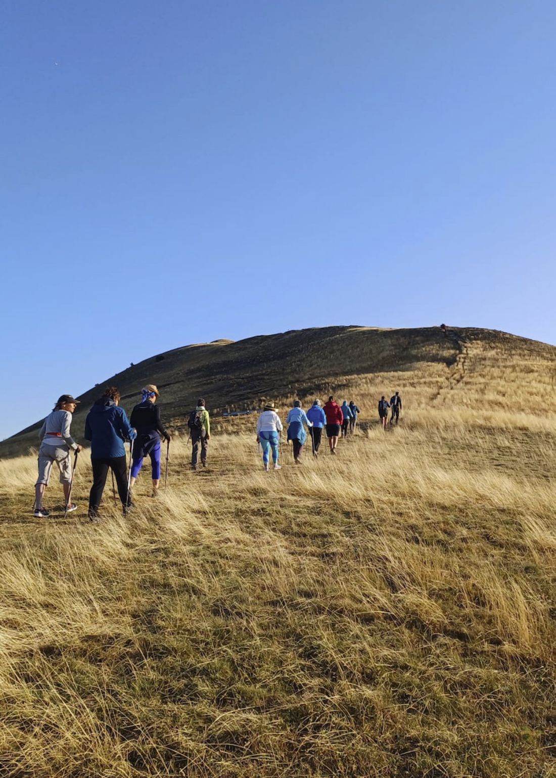 panier-pique-nique-randonnee-la-sauvagine